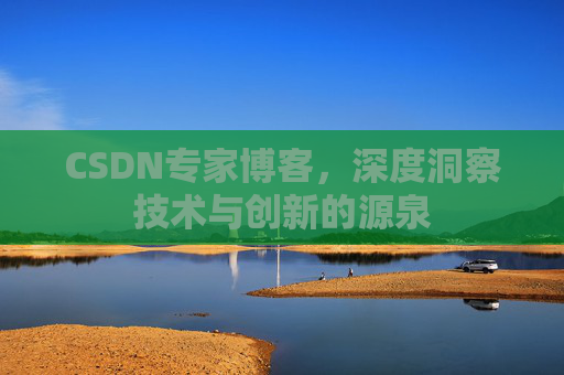 CSDN专家博客，深度洞察技术与创新的源泉